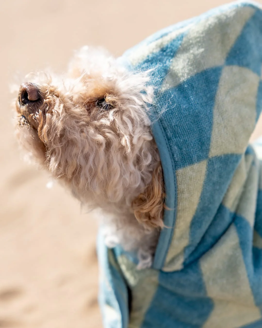 Warp Pet Towelling Robe in Light Blue - Image 2