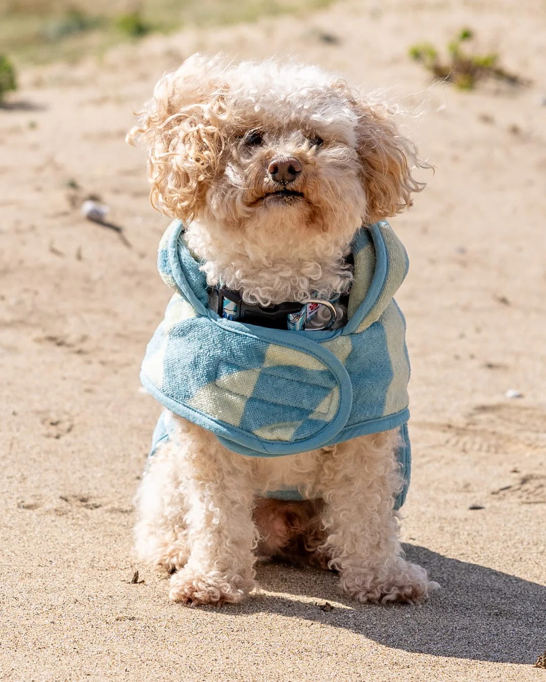 Warp Pet Towelling Robe in Light Blue - Image 7