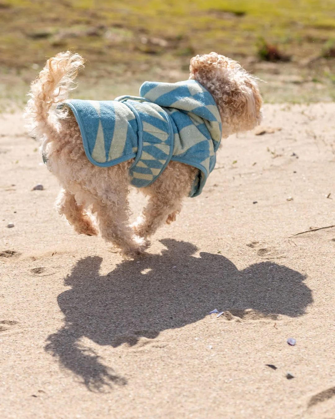 Warp Pet Towelling Robe in Light Blue - Image 9
